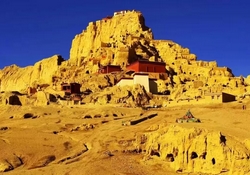 �O�Q�������