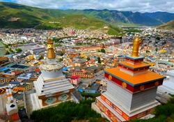 �O�Q�������